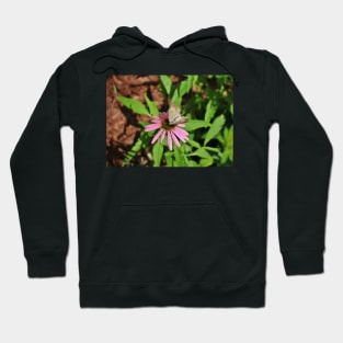 Great Southern White Female Hoodie